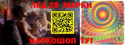 спиды Новозыбков