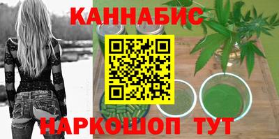 спиды Новозыбков