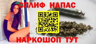 гашик Нальчик
