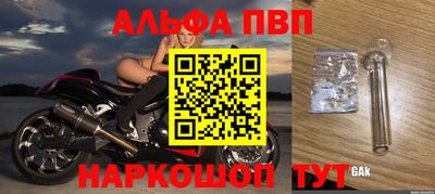 спиды Новозыбков