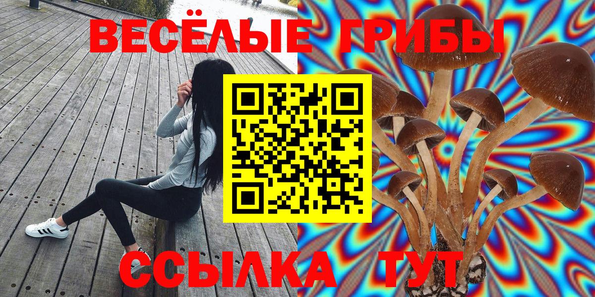 Псилоцибиновые грибы Psilocybine cubensis Соль-Илецк